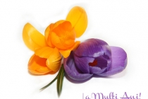 1 Martie